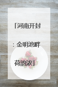 河南开封：金明池畔荷韵浓