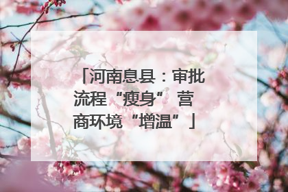 河南息县：审批流程“瘦身” 营商环境“增温”