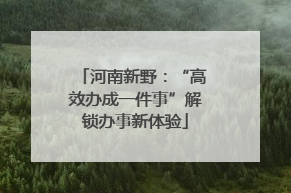 河南新野：“高效办成一件事”解锁办事新体验