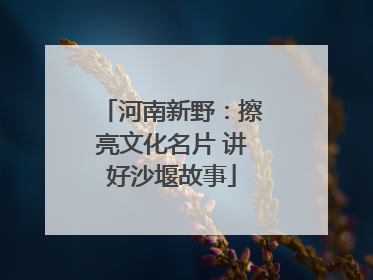河南新野：擦亮文化名片 讲好沙堰故事