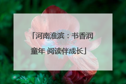 河南淮滨：书香润童年 阅读伴成长