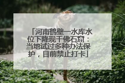 河南鹤壁一水库水位下降现千佛石窟：当地试过多种办法保护，目前禁止打卡