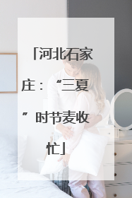 河北石家庄：“三夏”时节麦收忙