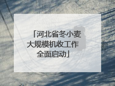 河北省冬小麦大规模机收工作全面启动