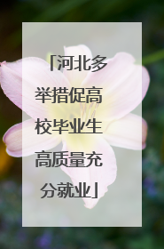 河北多举措促高校毕业生高质量充分就业