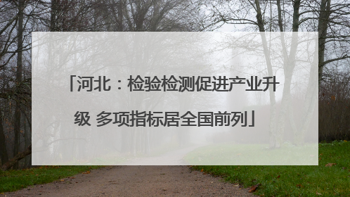河北：检验检测促进产业升级 多项指标居全国前列