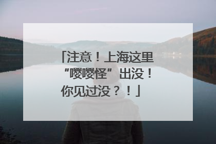 注意！上海这里“嘤嘤怪”出没！你见过没？！
