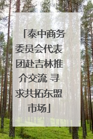 泰中商务委员会代表团赴吉林推介交流 寻求共拓东盟市场
