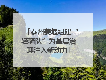 泰州姜堰组建“轻骑队”为基层治理注入新动力