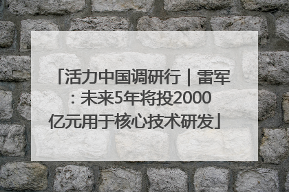 活力中国调研行｜雷军：未来5年将投2000亿元用于核心技术研发