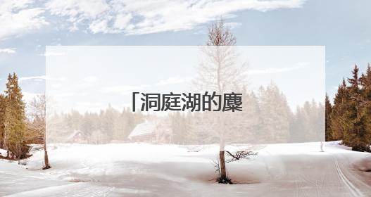 洞庭湖的麋鹿，最野！