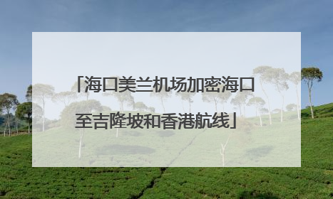 海口美兰机场加密海口至吉隆坡和香港航线