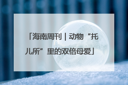 海南周刊｜动物“托儿所”里的双倍母爱