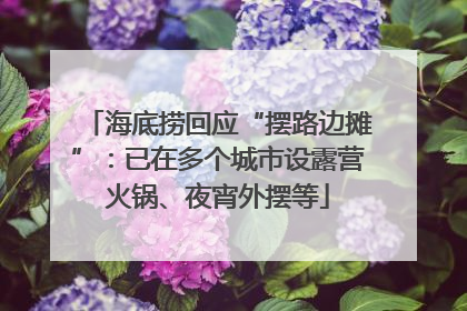 海底捞回应“摆路边摊”：已在多个城市设露营火锅、夜宵外摆等
