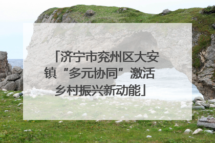 济宁市兖州区大安镇“多元协同”激活乡村振兴新动能