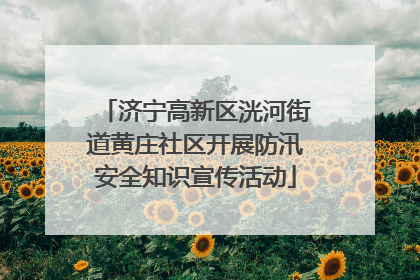 济宁高新区洸河街道黄庄社区开展防汛安全知识宣传活动