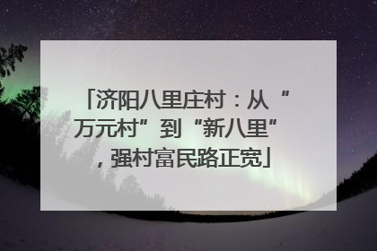 济阳八里庄村：从“万元村”到“新八里”，强村富民路正宽