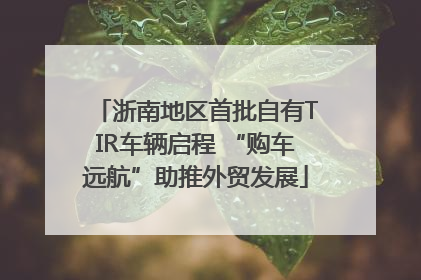 浙南地区首批自有TIR车辆启程 “购车远航”助推外贸发展