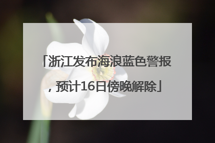 浙江发布海浪蓝色警报，预计16日傍晚解除
