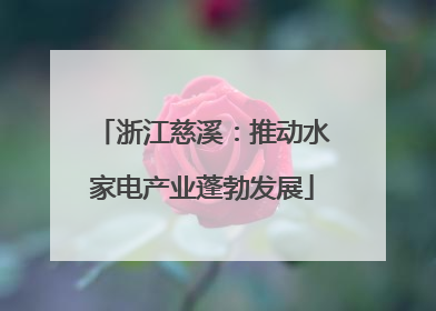 浙江慈溪：推动水家电产业蓬勃发展
