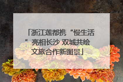 浙江莲都携“慢生活”亮相长沙 双城共绘文旅合作新图景