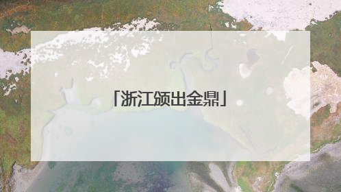 浙江颁出金鼎