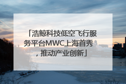 浩鲸科技低空飞行服务平台MWC上海首秀，推动产业创新