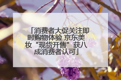 消费者大促关注即时购物体验 京东美妆“现货开售”获八成消费者认可