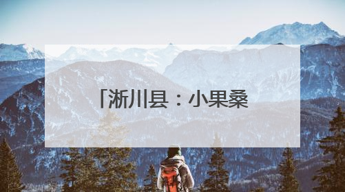 淅川县：小果桑种出好“钱”景