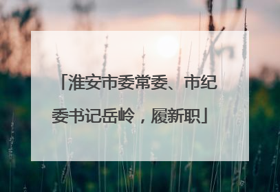 淮安市委常委、市纪委书记岳岭，履新职