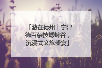 游在德州｜宁津德百杂技蟋蟀谷，沉浸式文旅盛宴