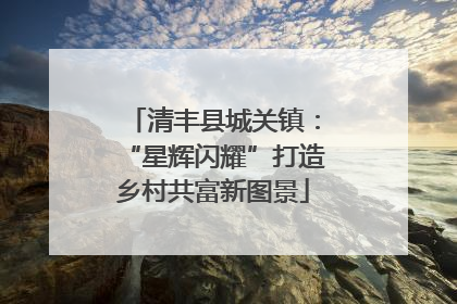 清丰县城关镇：“星辉闪耀”打造乡村共富新图景