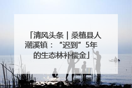 清风头条｜桑植县人潮溪镇：“迟到”5年的生态林补偿金