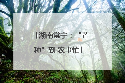 湖南常宁：“芒种”到 农事忙
