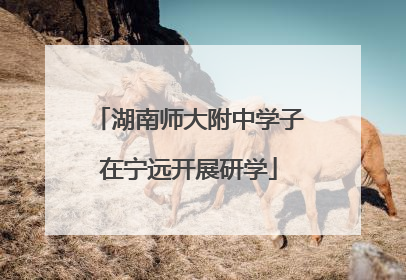 湖南师大附中学子在宁远开展研学