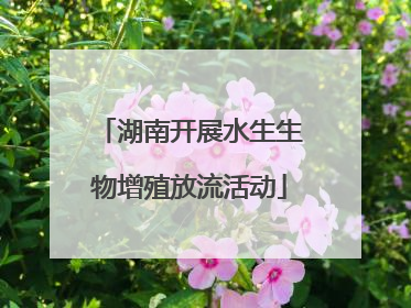 湖南开展水生生物增殖放流活动