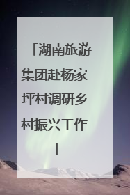 湖南旅游集团赴杨家坪村调研乡村振兴工作
