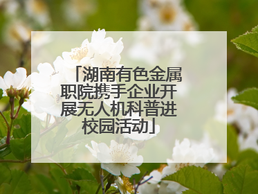 湖南有色金属职院携手企业开展无人机科普进校园活动