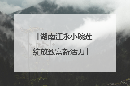 湖南江永小碗莲绽放致富新活力