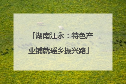 湖南江永：特色产业铺就瑶乡振兴路