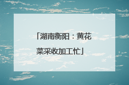 湖南衡阳：黄花菜采收加工忙