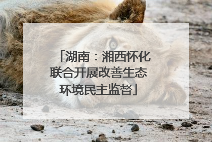 湖南：湘西怀化联合开展改善生态环境民主监督