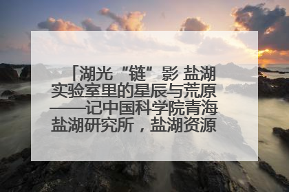 湖光“链”影 盐湖实验室里的星辰与荒原——记中国科学院青海盐湖研究所，盐湖资源化学实验室党总支书记、副主任刘忠