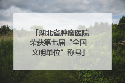 湖北省肿瘤医院荣获第七届“全国文明单位”称号