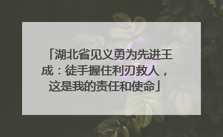 湖北省见义勇为先进王成：徒手握住利刃救人，这是我的责任和使命