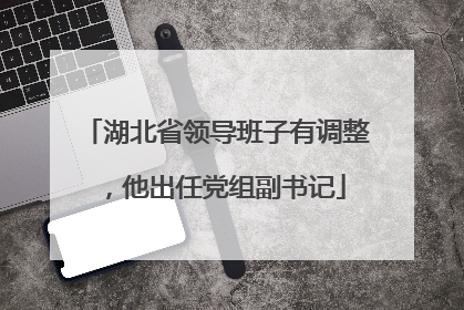 湖北省领导班子有调整，他出任党组副书记