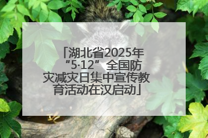 湖北省2025年“5·12”全国防灾减灾日集中宣传教育活动在汉启动