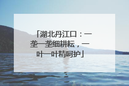 湖北丹江口：一垄一垄细耕耘，一叶一叶精呵护