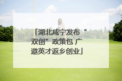 湖北咸宁发布“双创”政策包 广邀英才返乡创业
