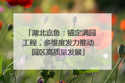 湖北嘉鱼：锚定满园工程，多维度发力推动园区高质量发展